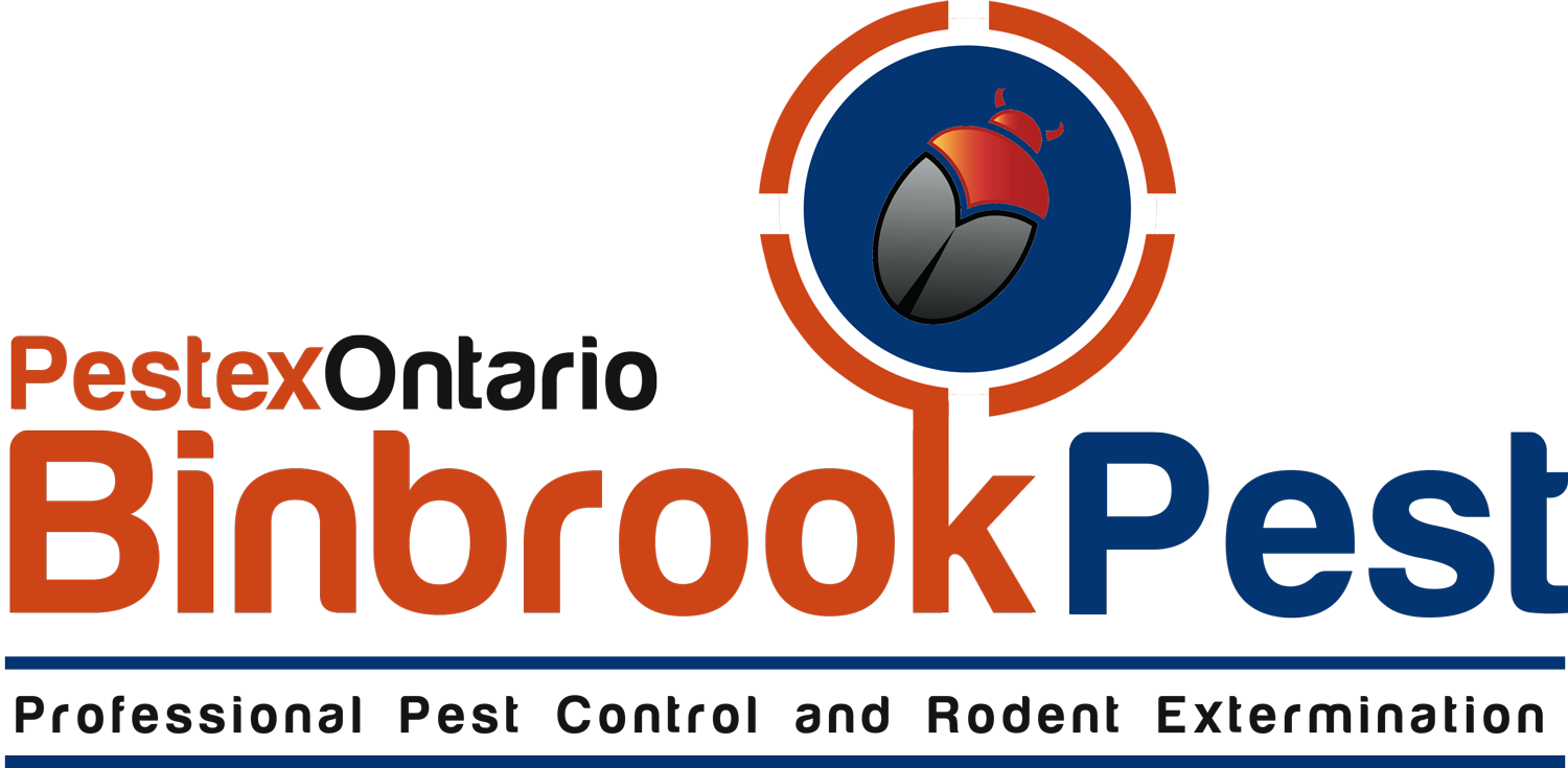 Binbrook Pest